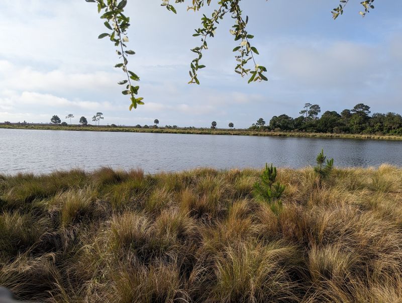 Wildlife Viewing Opportunities That Rival Any Zoo