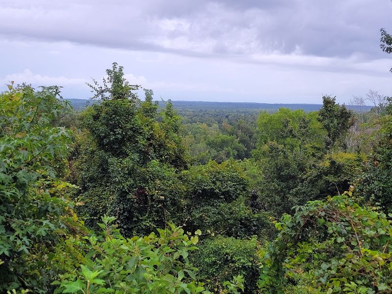 Torreya Hiking Trail - Bristol