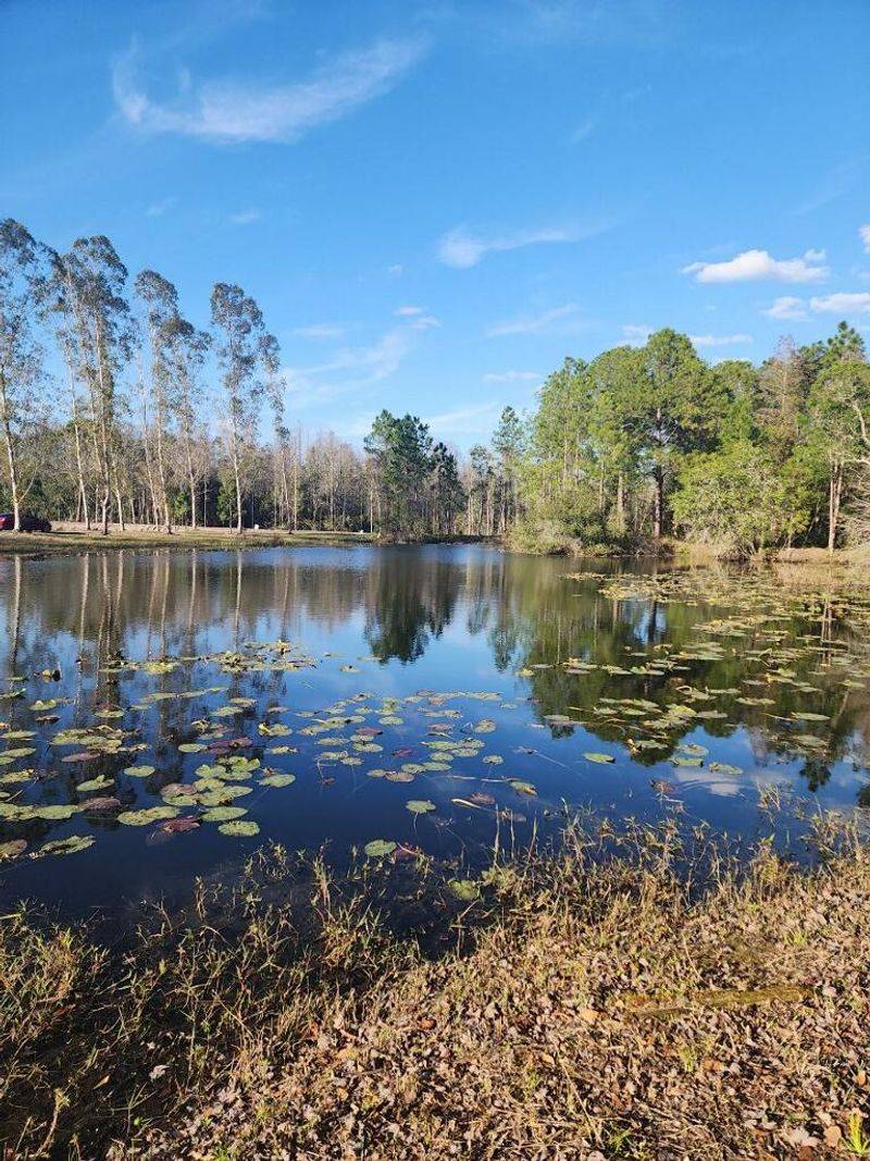 Fishing and Nature Exploration by the Lake