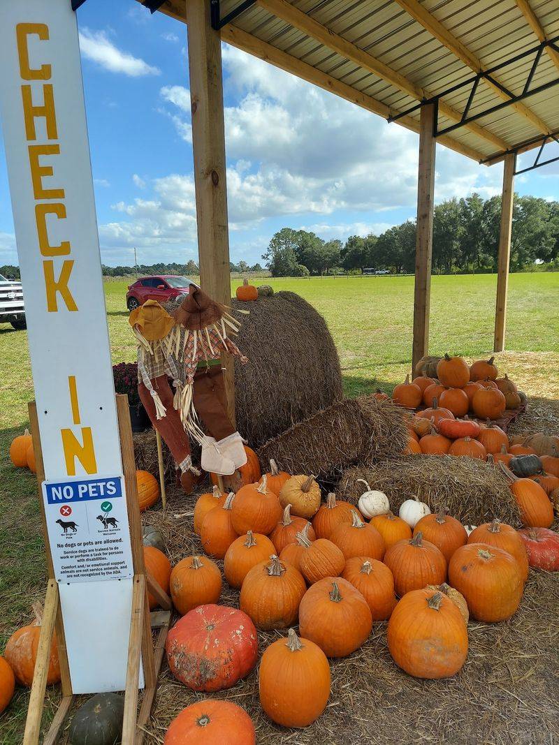 Dade City Farms - Dade City