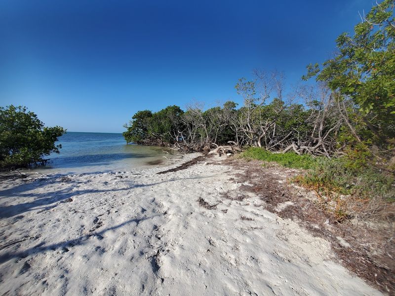 Parking Secrets and Hidden Coves