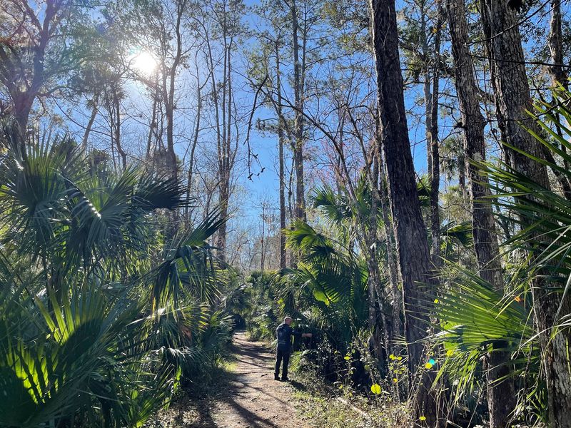 Black Bear Wilderness Trailhead - Sanford