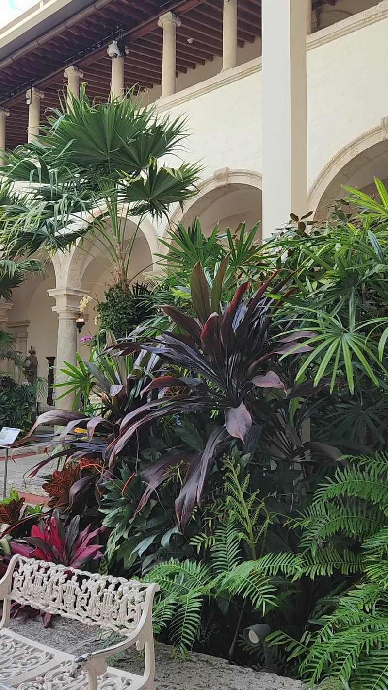 Orchids and Tropical Plant Collections