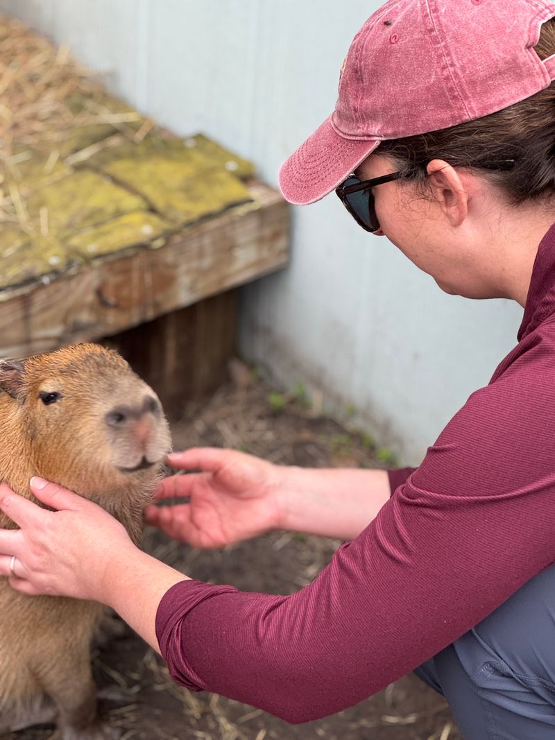 Private Tour Experience That Puts You First