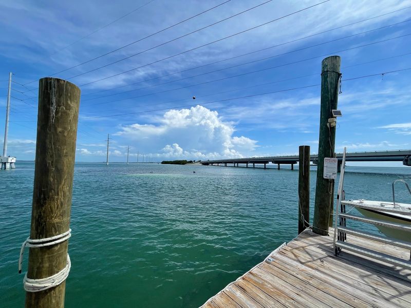 Charter Fishing Trips Into Deep Blue Water