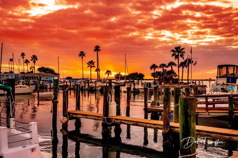 Dunedin Marina
