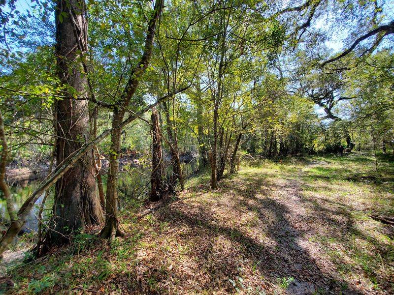 Florida Trail Withlacoochee State Trail - Ridge Manor Trailhead - Brooksville