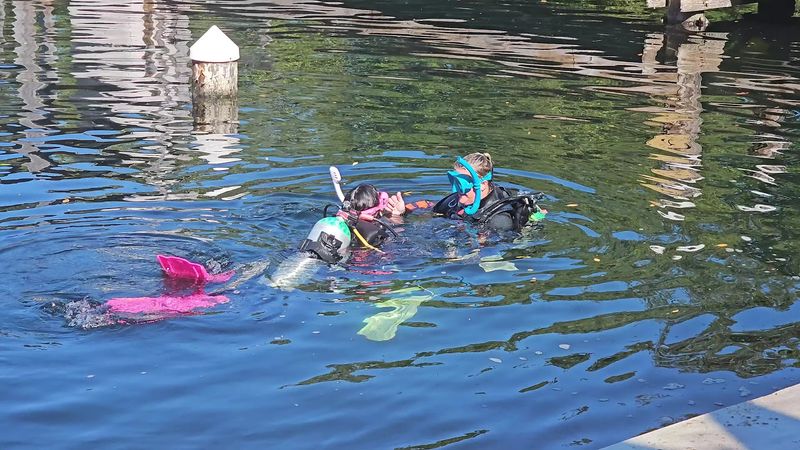 You Actually Have to Scuba Dive to Check In