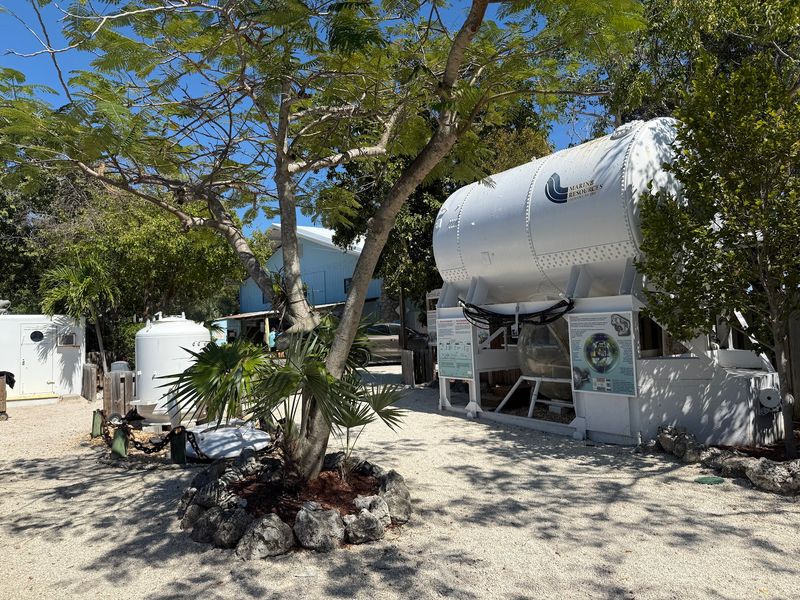 The History Behind This Quirky Habitat
