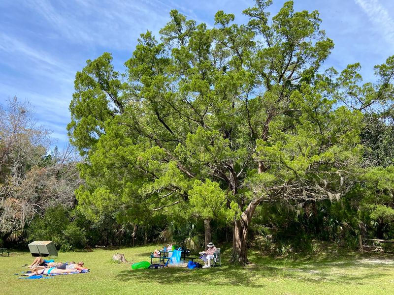 Picnic Areas That Actually Deliver on the Relaxation Promise