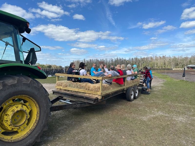 Tractor and Hayride Adventures Around the Property