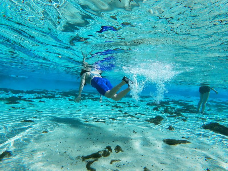 You Can See the Bottom of This Stunningly Clear Florida Spring