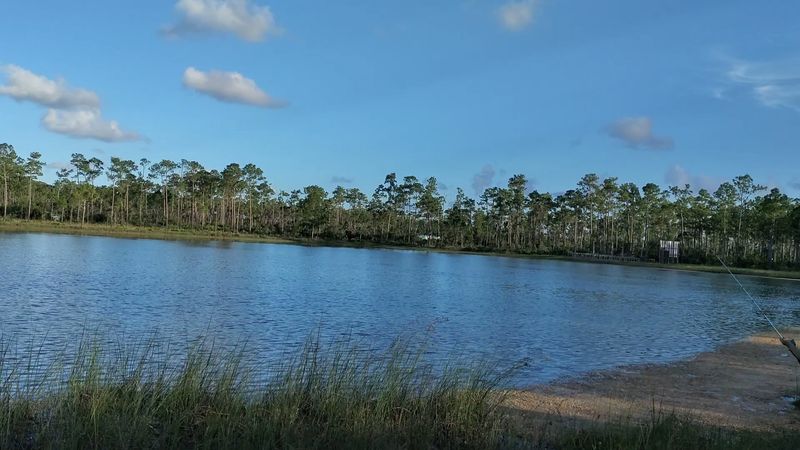 Long Pine Key Campground - Homestead