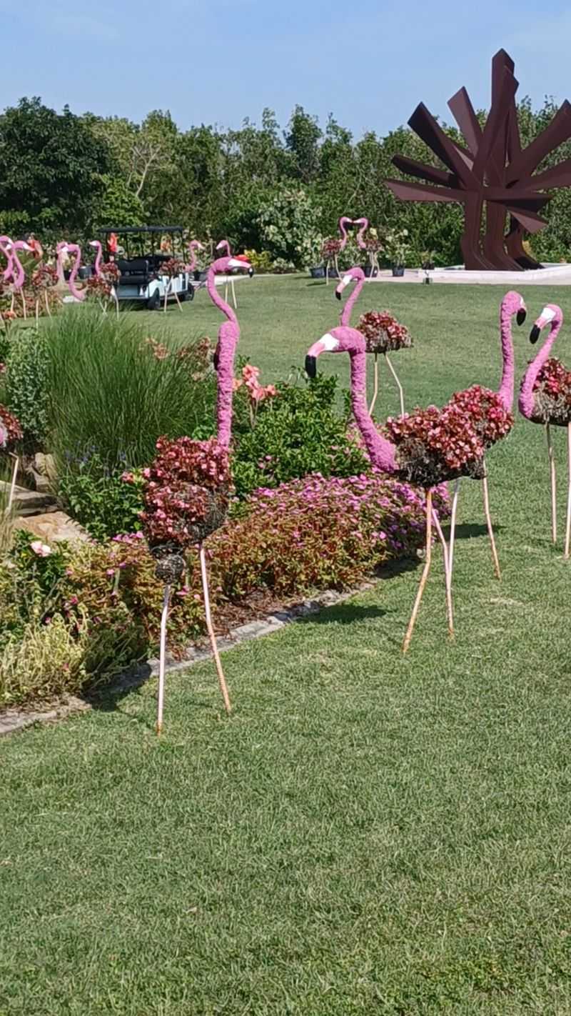 Butterfly House Where Wings Outnumber Visitors
