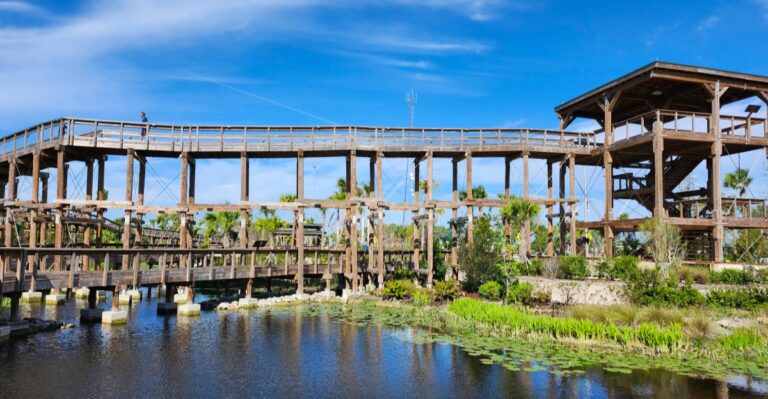 A Brand-New Free Boardwalk Now Takes Visitors Above the Florida Everglades