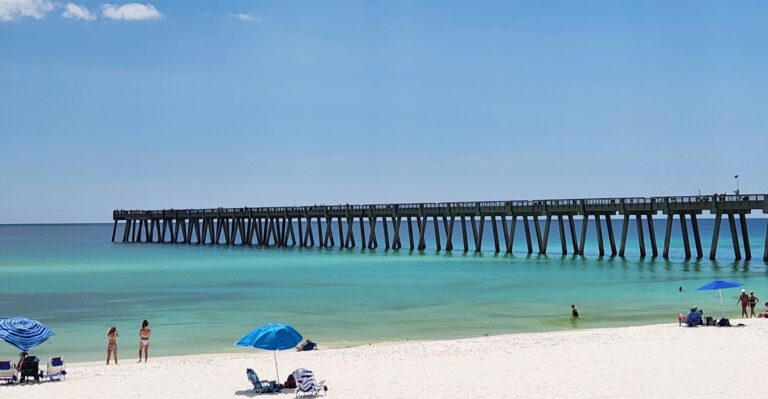 A Surprising Jellyfish Problem Lurks at This Quiet Florida Gulf Beach