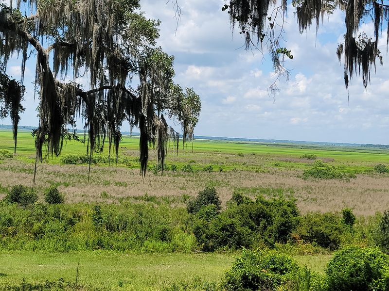Gainesville-Hawthorne State Trail - Gainesville