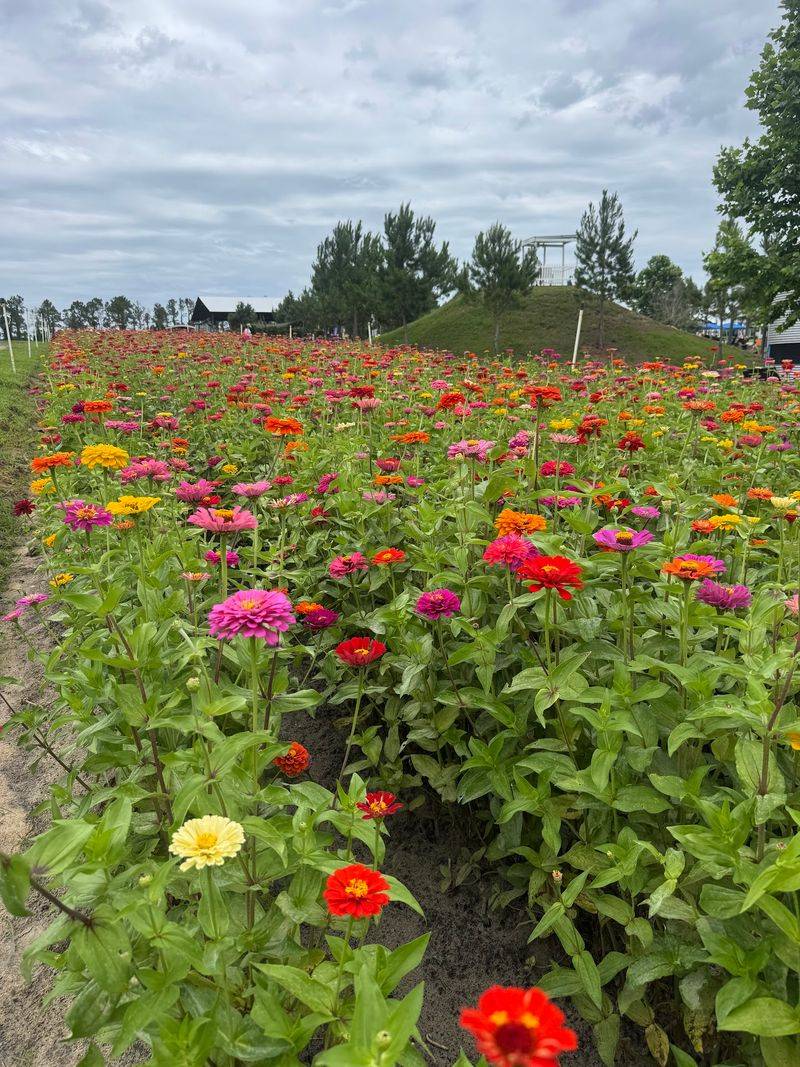 More Crops to Pick When the Seasons Shift