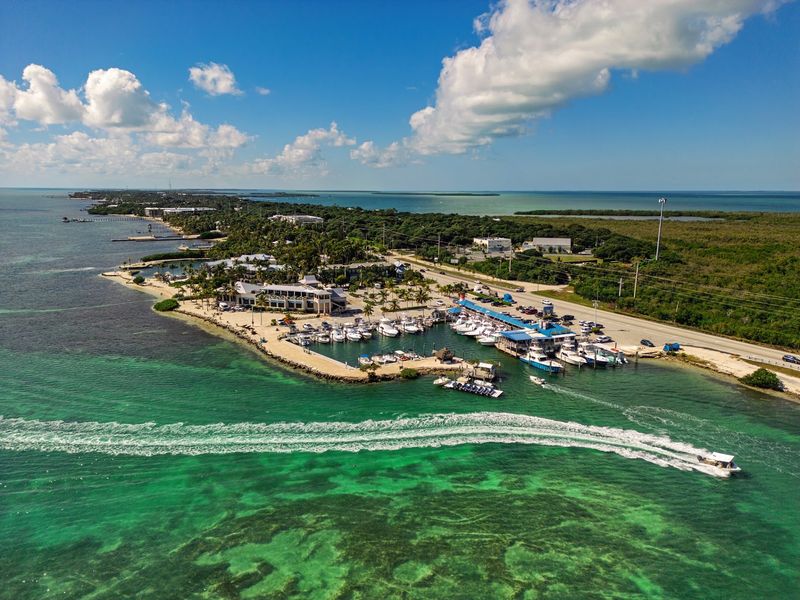 Wahoo's Seafood Bar and Grill Restaurant - Islamorada