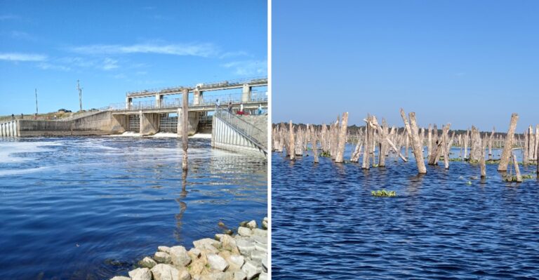 Beneath This Huge Florida Reservoir Lie 20 Lost Springs and Miles of Forgotten River