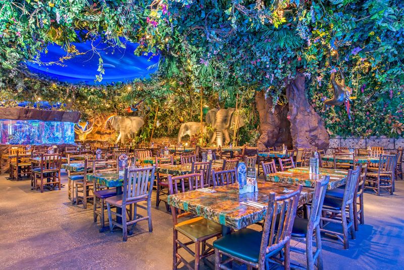 Rainforest Cafe – Lake Buena Vista