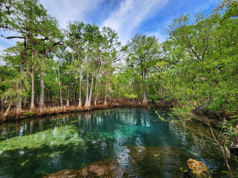 Manatee Springs State Park - Chiefland
