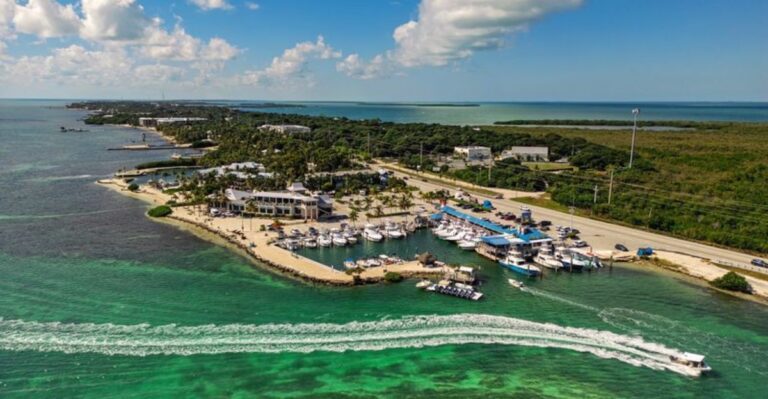 Boat Views and Great Seafood Share the Spotlight at These 12 Florida Marinas