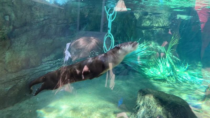 Interactive Virtual Reality Ocean Experiences