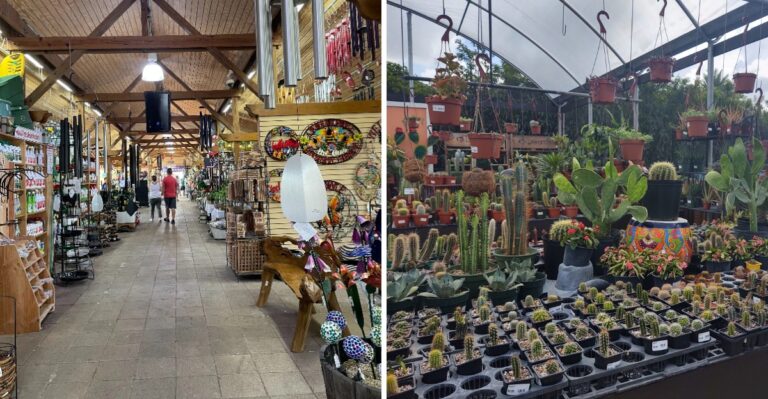 Coffee, Plants, and Unique Gifts Make This South Florida Garden Market Worth Exploring