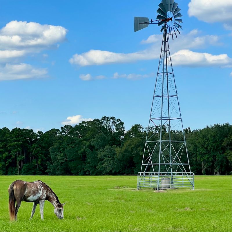 Lake Talquin's Outdoor Playground