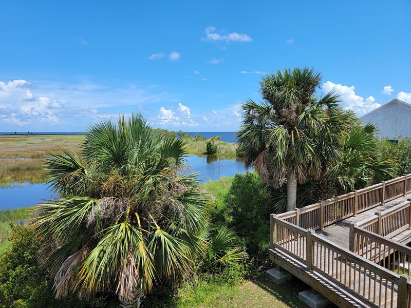 The Seven-Mile Scenic Drive Through St. Marks National Wildlife Refuge