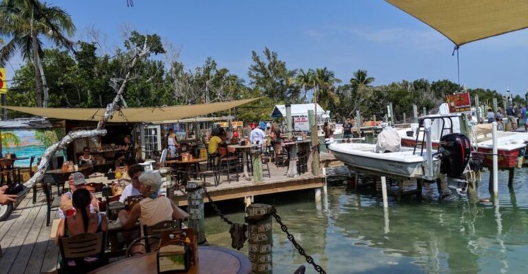 Giant Tarpon Gather Beneath the Docks at This Hidden Florida Marina