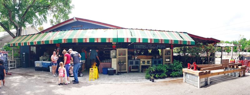 Fruitville Grove - Sarasota
