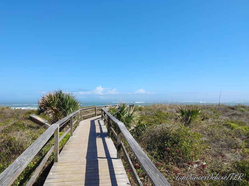 Vilano Beach Nature Boardwalk and Wetland Wonders