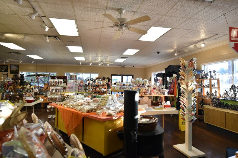 Florida Souvenirs Beyond the Typical Tourist Trap