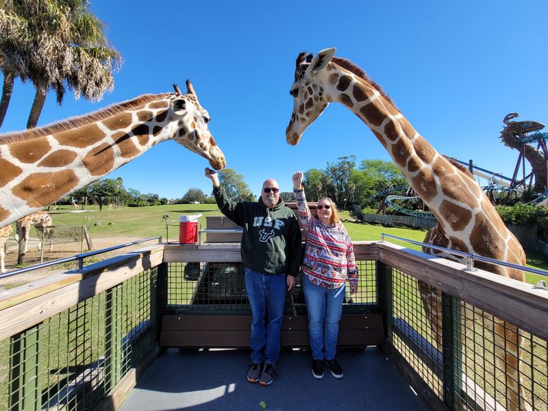 Serengeti Safari - Tampa