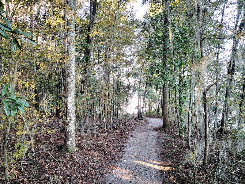 Shaded Trails Perfect for Easy Afternoon Hikes
