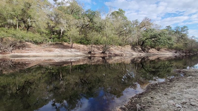 Woods Ferry River Camp, Live Oak