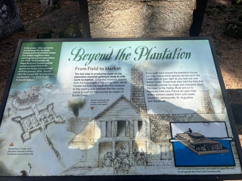 The Educational Exhibits and Artifact Displays