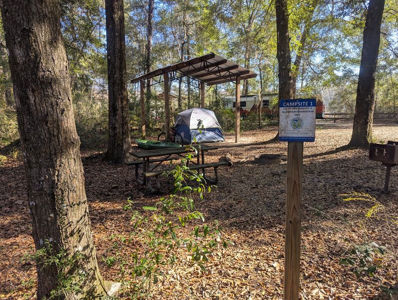 Mystic Springs Free Campground, McDavid/Walnut Hill Area
