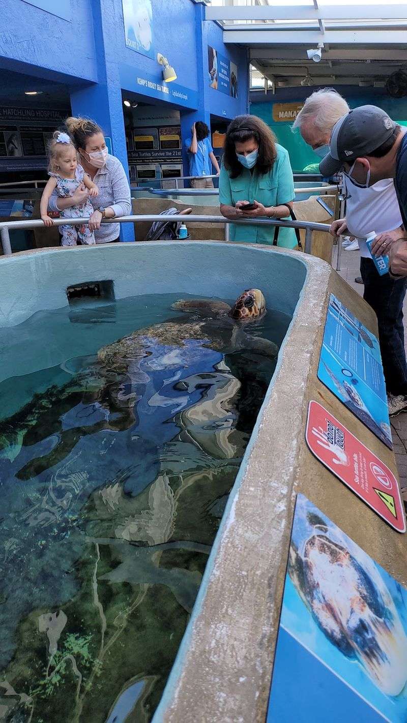 Coral Reef Restoration Projects on Display