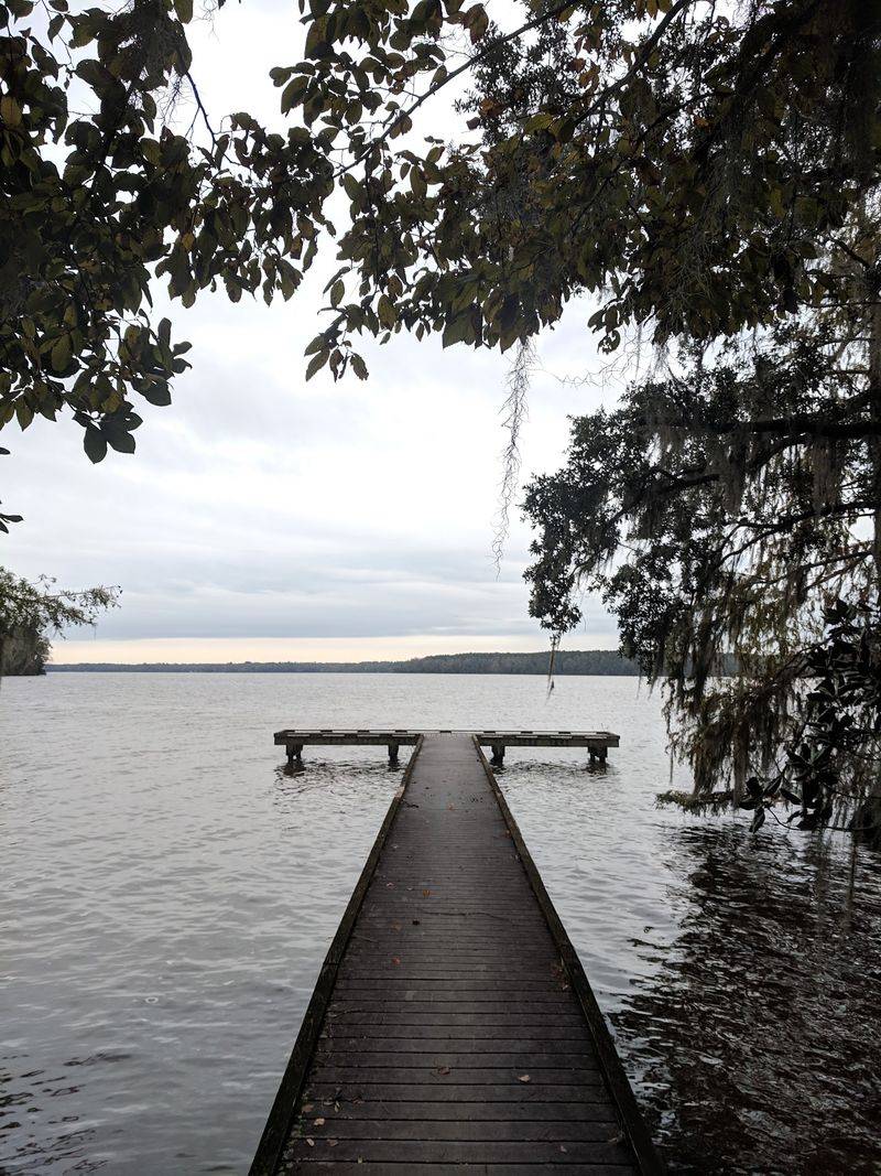 Boardwalks and Observation Decks Overlooking the Lake