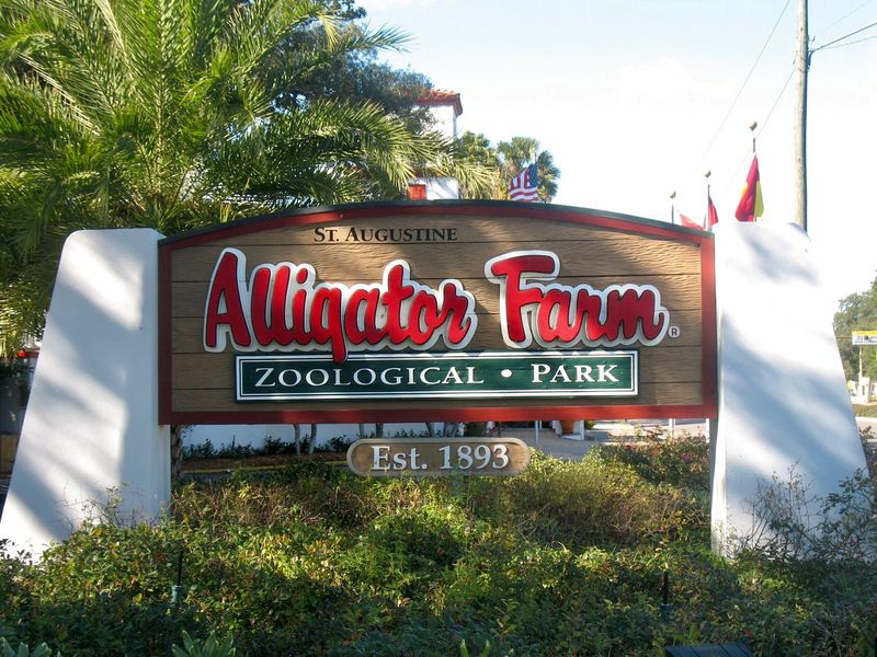 St. Augustine Alligator Farm Zoological Park - St. Augustine
