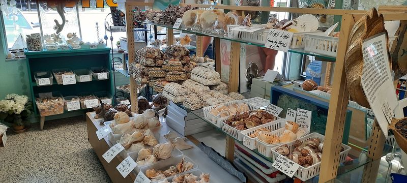 Salty Mermaids Shell Shop - Englewood
