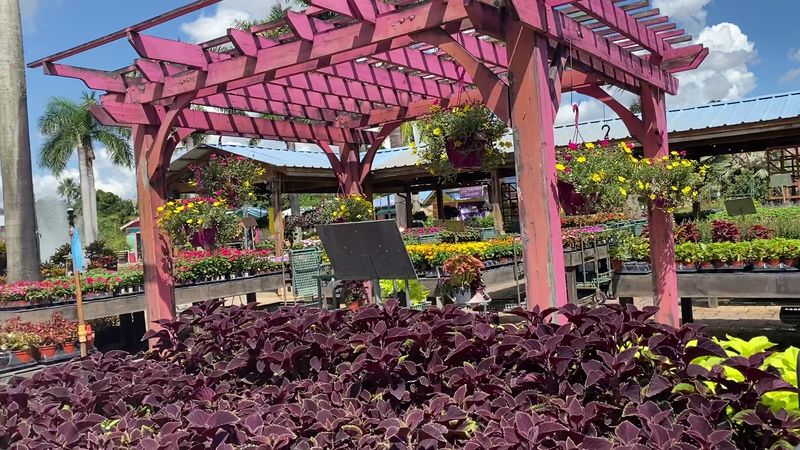 Professional Landscaping Services with Personal Touch