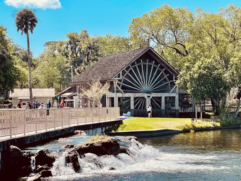 Swimming in Crystal Clear 72-Degree Springs