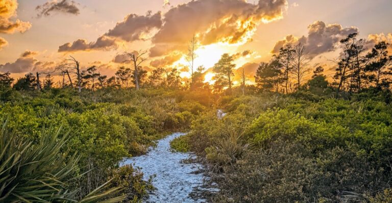 Most Floridians Have Never Heard of This Gorgeous State Park