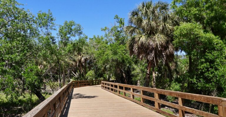 Most Tampa Locals Still Haven’t Found This 48-Acre Park Hiding in the City