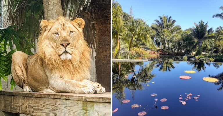 Naples, Florida Has More Than Beautiful Beaches – Start With These 12 Things to Do