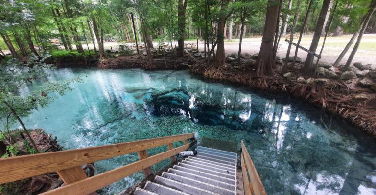 No Reservation? No Problem at This Florida Campground With Primitive Sites